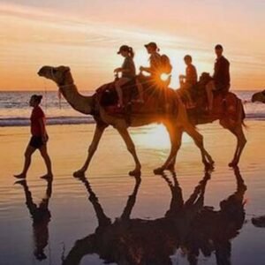 Balade en dromadaire – 2h