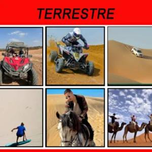 Activités Terrestres
